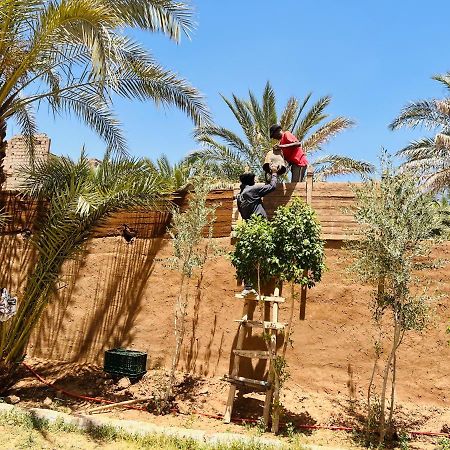 Paradis Touareg Zagora Eksteriør billede