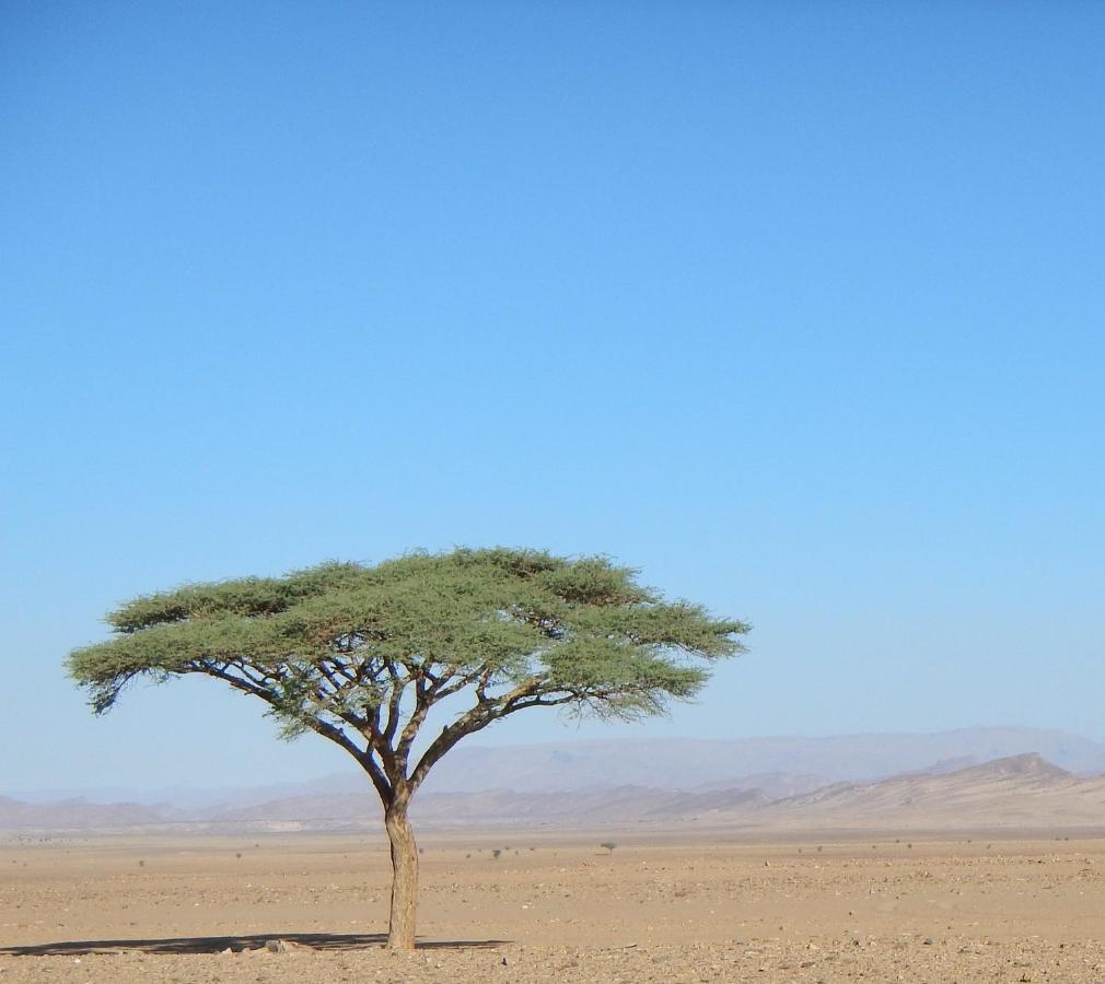Paradis Touareg Zagora Eksteriør billede